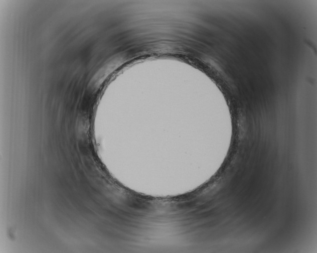 X0000103961065200809191329