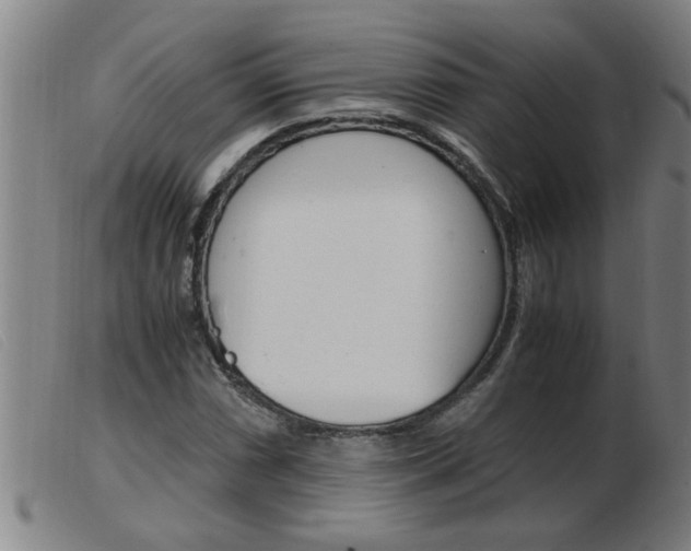 X0000103961066200809191329