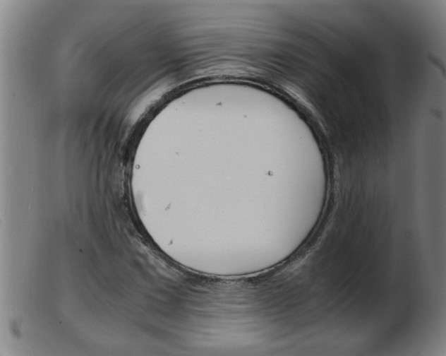 X0000103961067200809191329