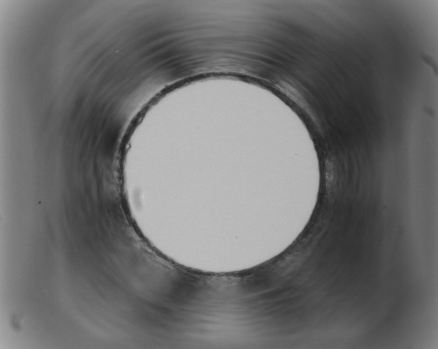 X0000103961068200809191329