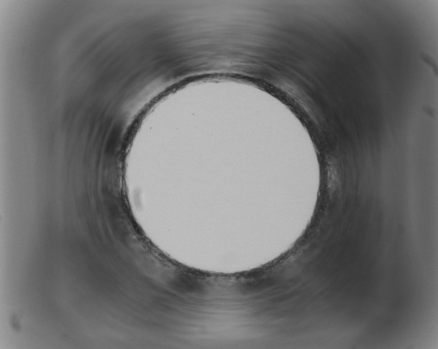 X0000103961069200809191329