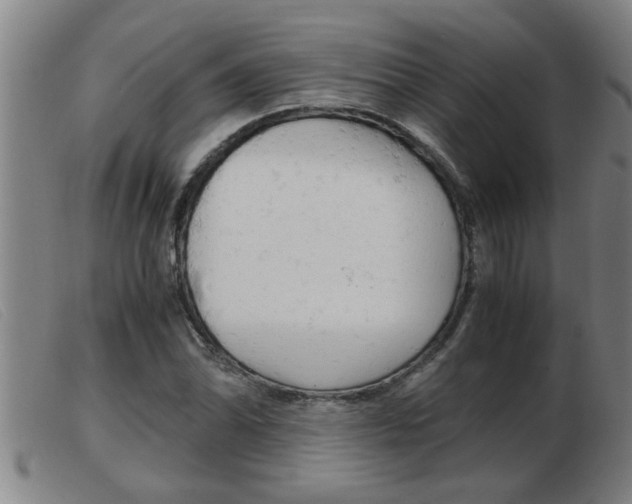 X0000103961070200809191329