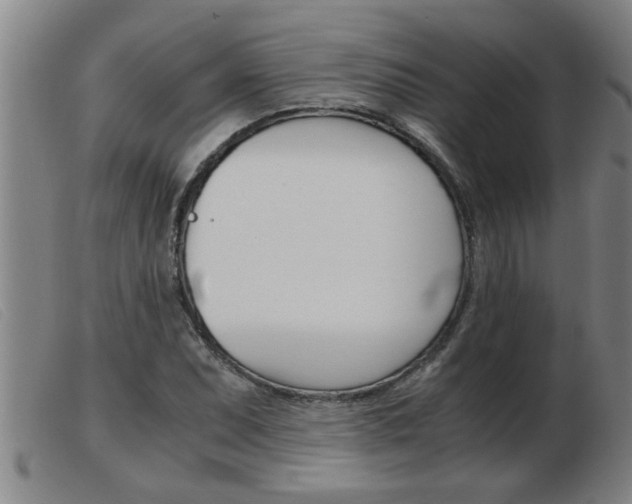 X0000103961071200809191329