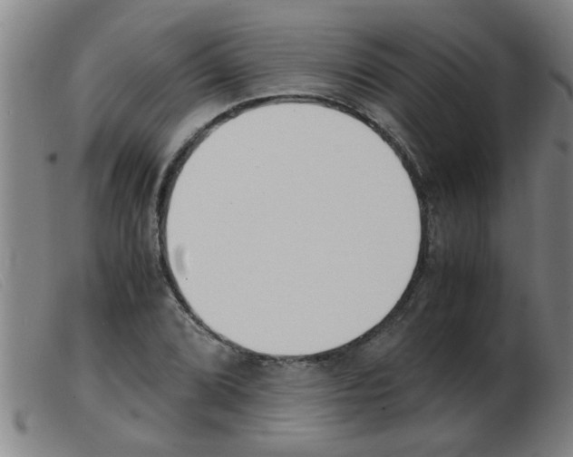 X0000103961072200809191329