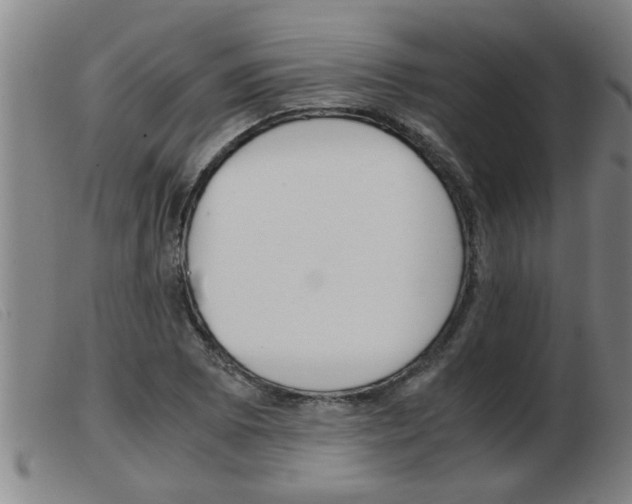 X0000103961073200809191329
