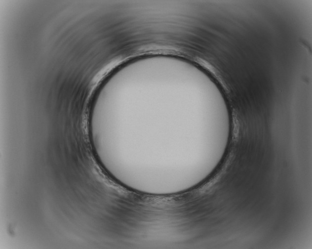 X0000103961074200809191329