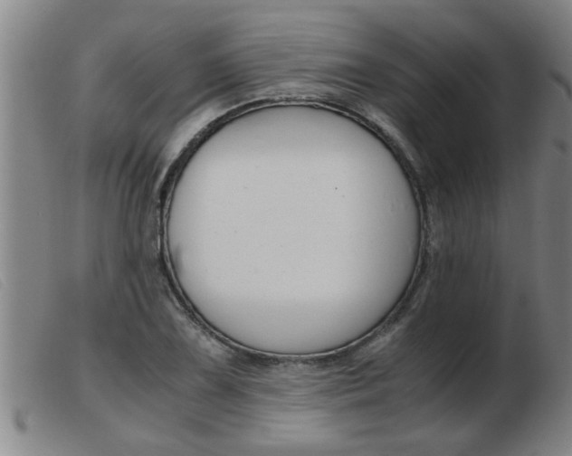 X0000103961075200809191329