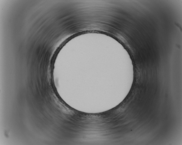 X0000103961076200809191329