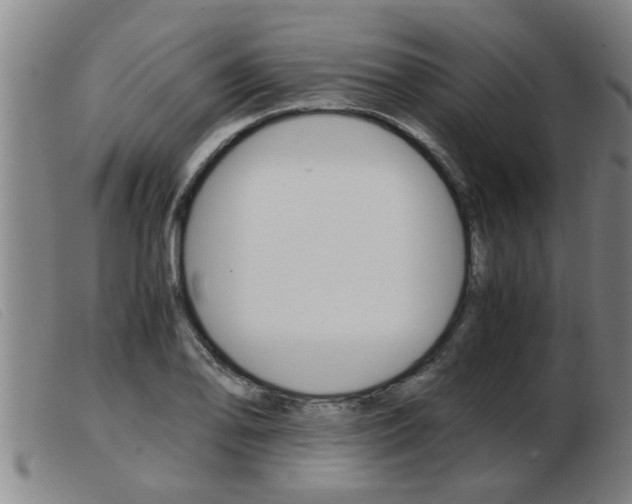 X0000103961078200809191329