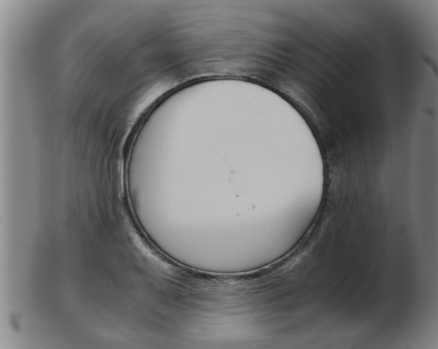 X0000103961079200809191329
