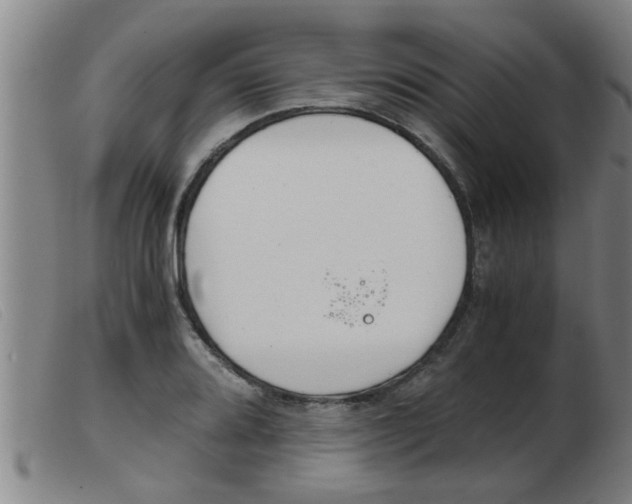 X0000103961080200809191329