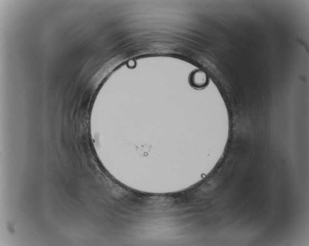 X0000103961081200809191329