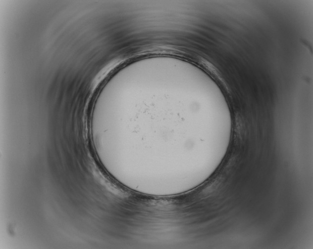 X0000103961082200809191329