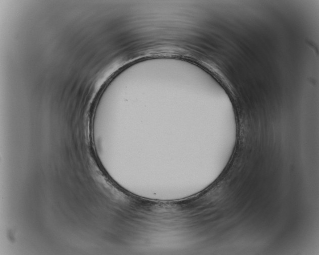 X0000103961083200809191329