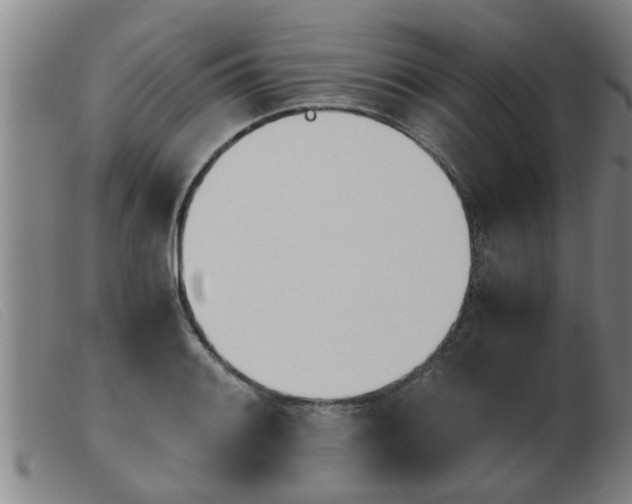 X0000103961084200809191329