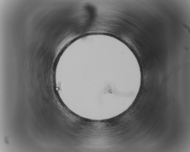 X0000103961085200809191329