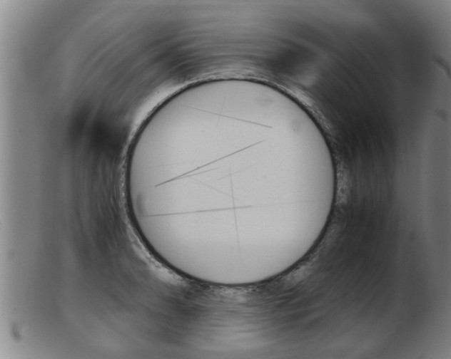 X0000103961086200809191329