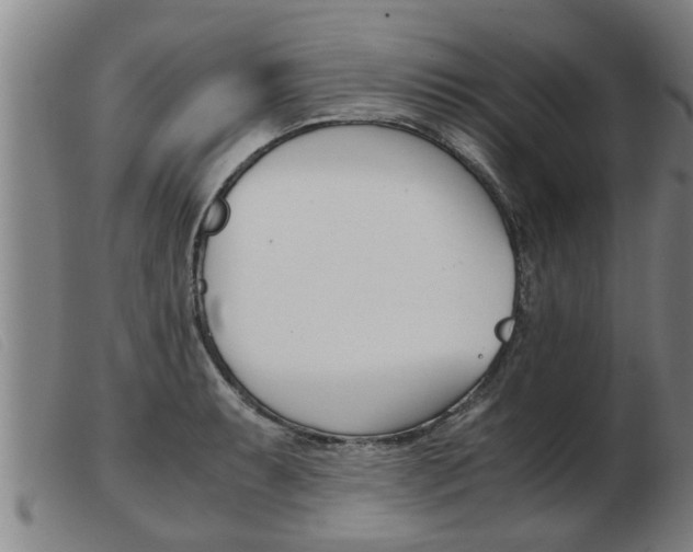 X0000103961087200809191329