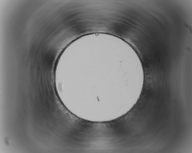 X0000103961088200809191329