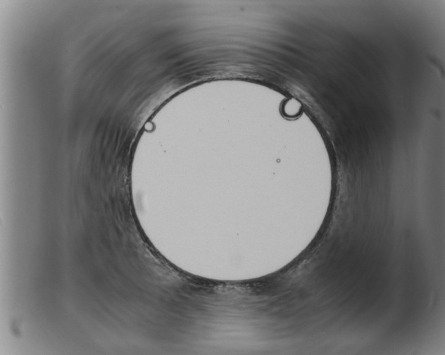 X0000103961089200809191329