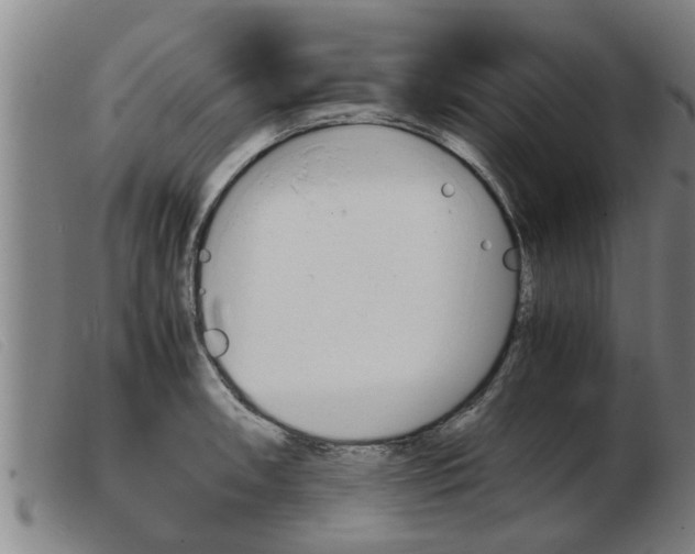 X0000103961090200809191329