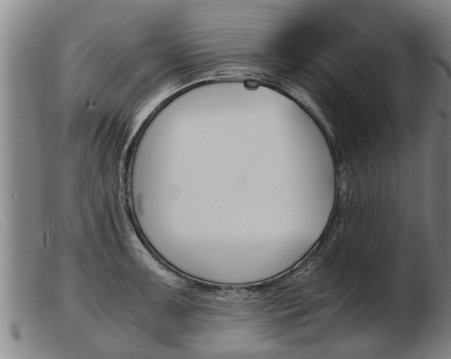 X0000103961091200809191329
