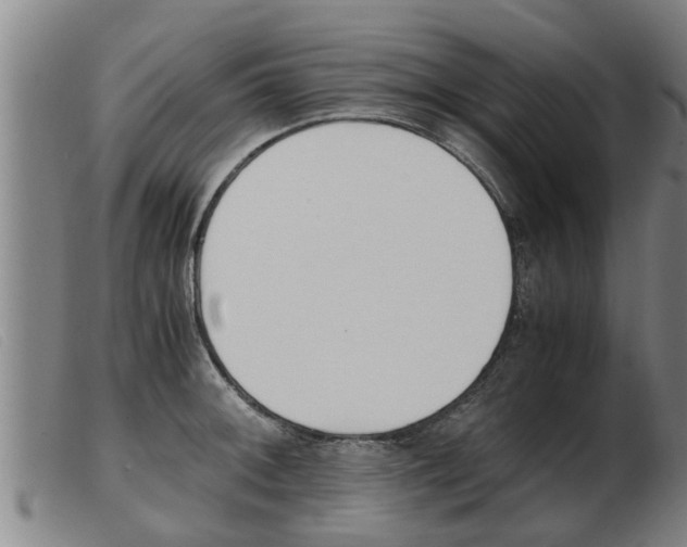 X0000103961092200809191328