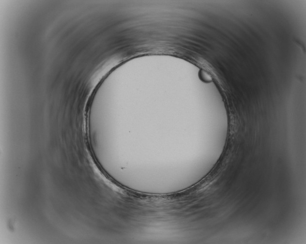 X0000103961095200809191328