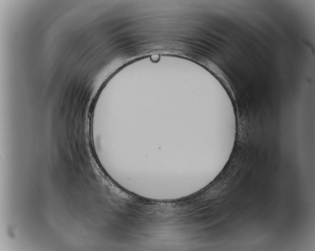 X0000103961096200809191328