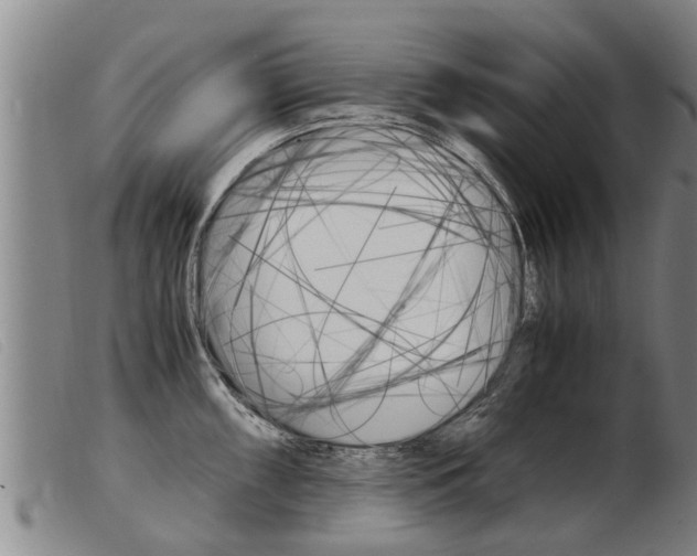 X0000103961098200809191328