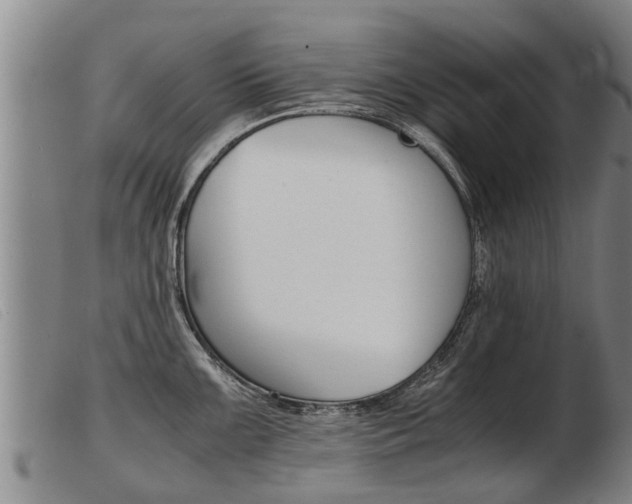 X0000103961099200809191328