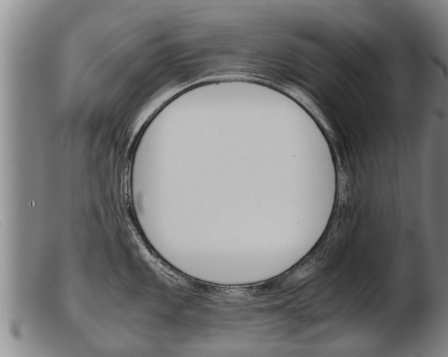 X0000103961101200809191328
