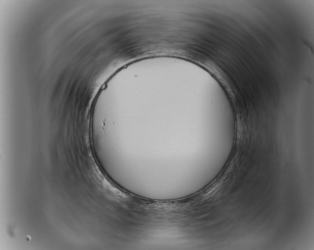 X0000103961102200809191328