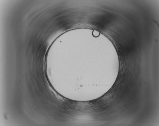 X0000103961103200809191328