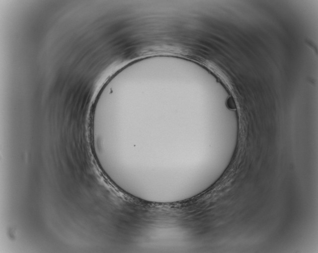 X0000103961104200809191328