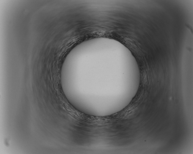 X0000103961105200809191328