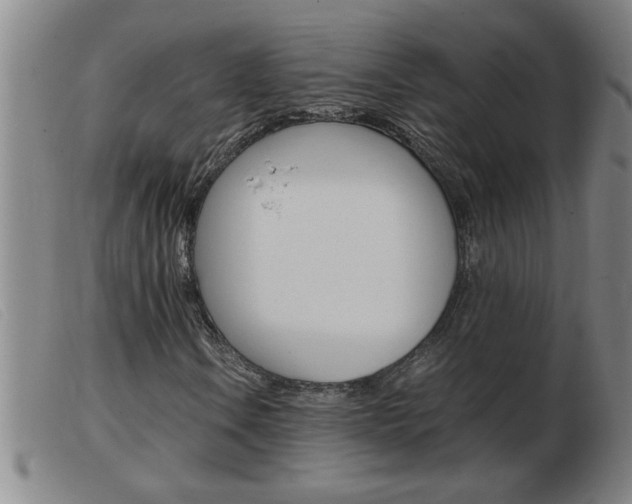 X0000103961106200809191328