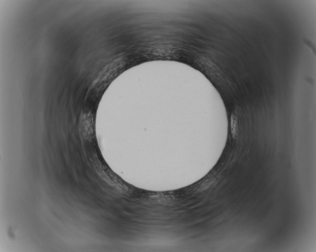 X0000103961107200809191328