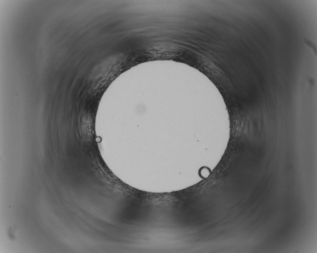 X0000103961108200809191328