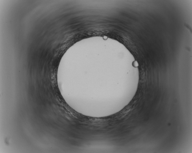 X0000103961109200809191328