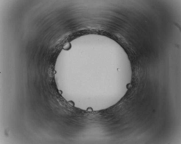 X0000103961110200809191328