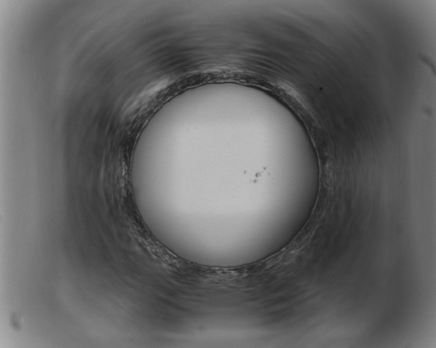 X0000103961111200809191328