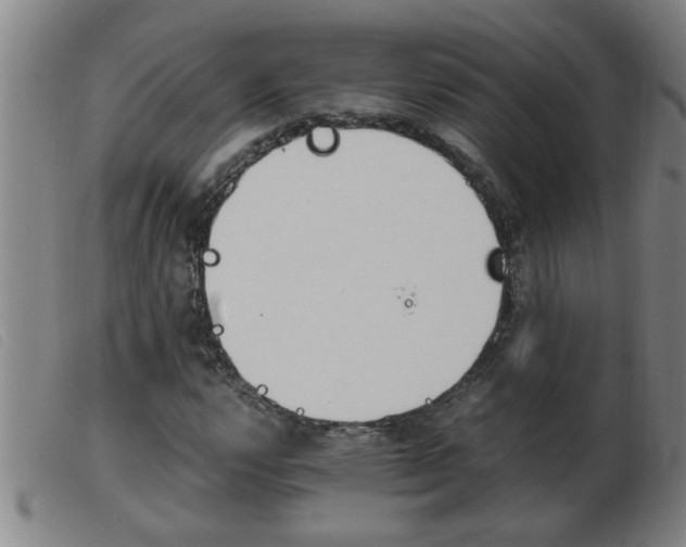 X0000103961112200809191328
