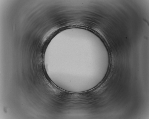 X0000103961115200809191328