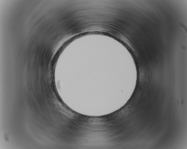 X0000103961116200809191328