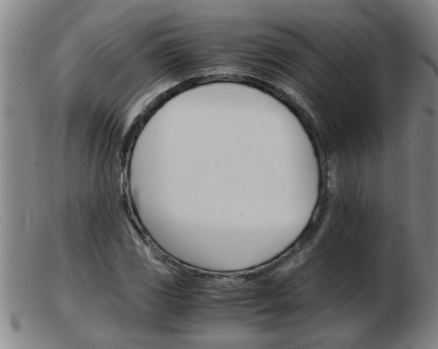 X0000103961117200809191328
