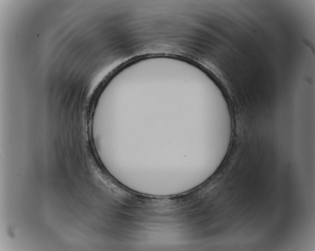 X0000103961120200809191328