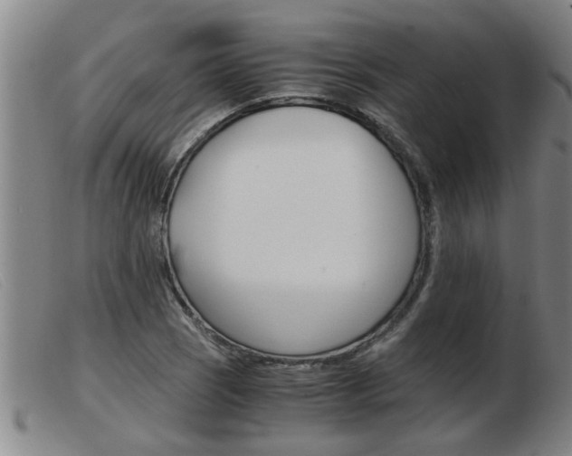 X0000103961121200809191328