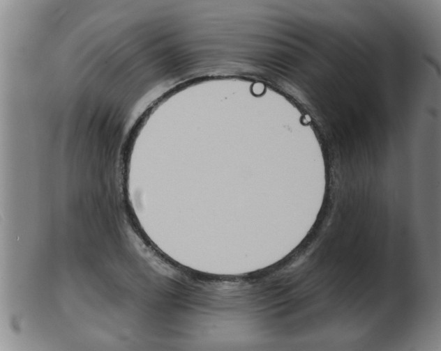 X0000103961122200809191328