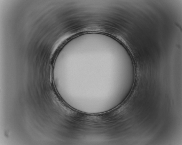 X0000103961123200809191328